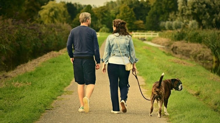 7 sätt att få en hund kommer att påverka ditt förhållande