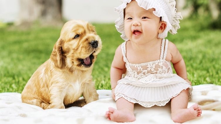 Mazulis ceļā - vai jūsu suns zina, ka esat grūtniece?