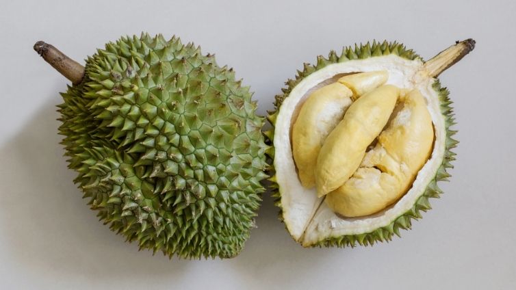 ¿Pueden los perros comer durián? ¿Es seguro para los perros?