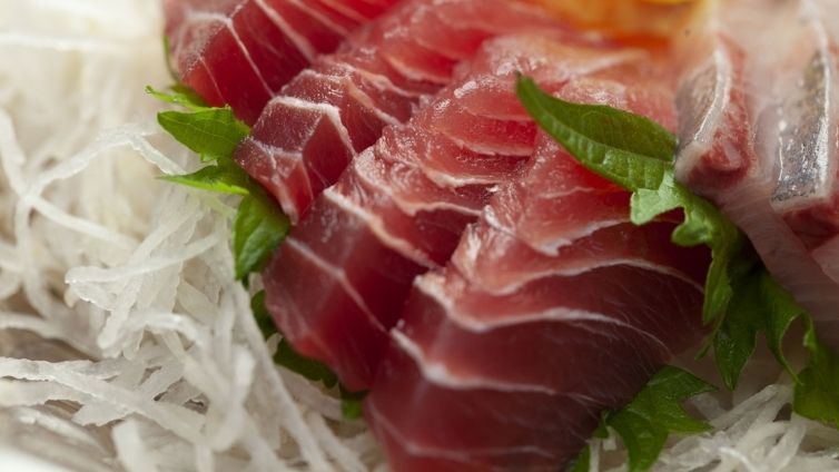 Kunnen honden tonijn eten? Is tonijn veilig?