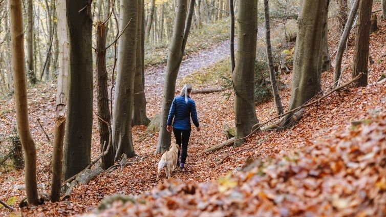 Περπατήστε το σκύλο σας: Πόσο συχνά, πόσο καιρό, πόσο μακριά;