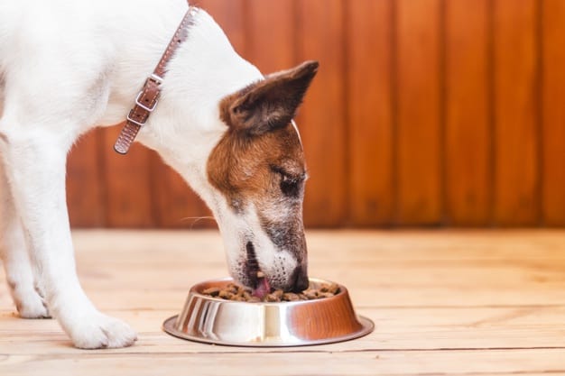 Il cane può mangiare la guaiava? Scoprite perché è il miglior frutto da mangiare per i cani