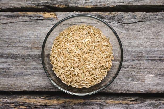¿Puede un perro comer arroz integral?