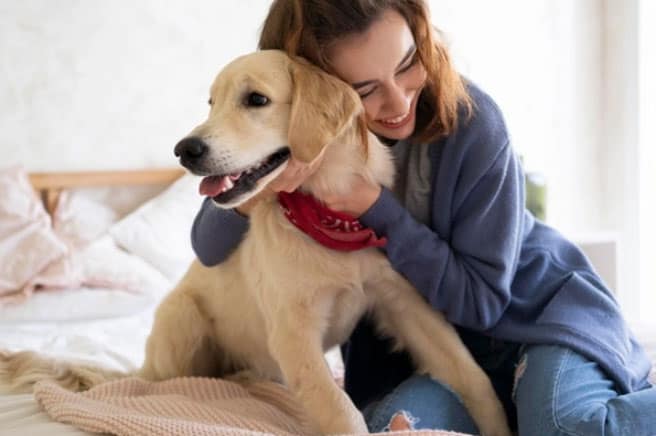 Wantrouwige hond - Hoe hem herkennen en helpen
