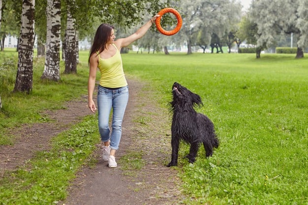 Hier sind 5 Tipps, wie Sie einen ruhigen Hund haben können