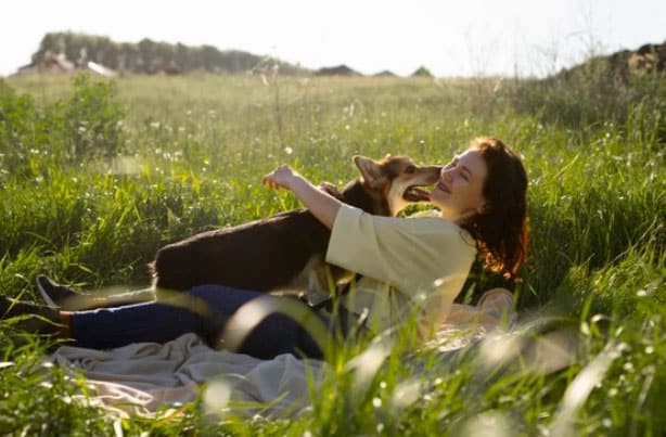 Keliaujant su šunimi - patarimai, kaip šuniui išlikti ramiam