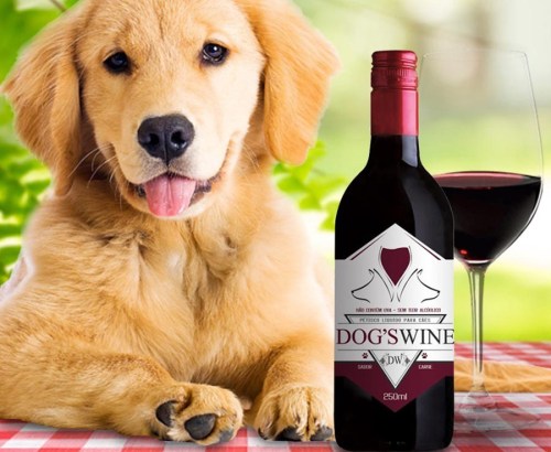 Dog's Wine Brezilya'da köpekler için özel olarak üretilen ilk şaraptır
