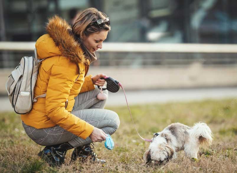 Perros y humanos: 6 reglas del líder de la manada